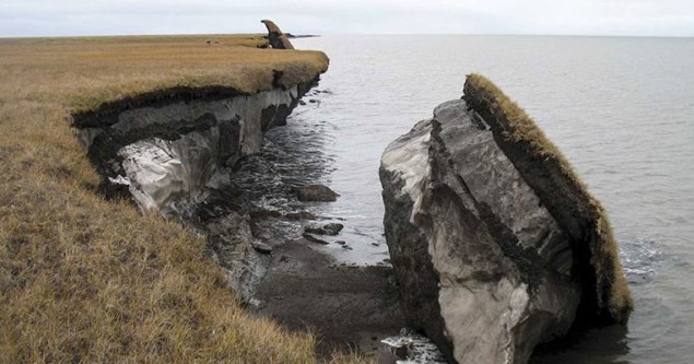Collapsed permafrost block of coastal tundra on Alaska's Arctic coast