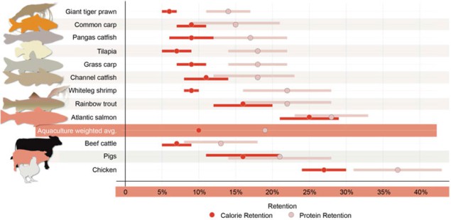 Protein and calorie retention Protein and calorie retention
