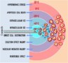 Biological effects of cryotherapy