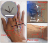Versatile sensors