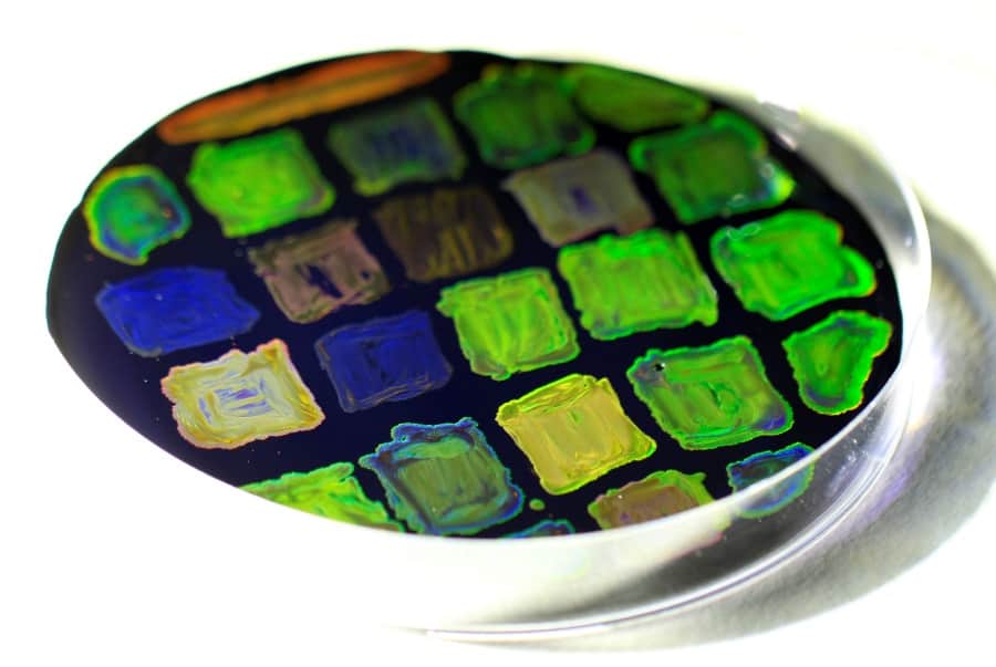 Microscopic Petri palette of dried up genetically altered bacteria colonies.