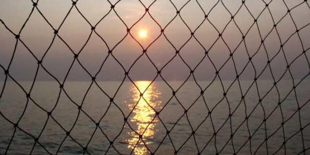 Many more nets will be empty as the oceans warm