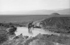 1960s Jordan Valley irrigation