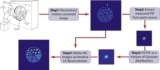 The proposed image-based motion-dependent PSF deconvolution method