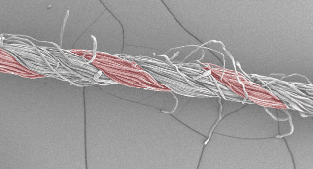 Electron micrograph of yarn