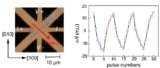 Manipulating the antiferromagnetic order with "antidamping" spin orbit torques