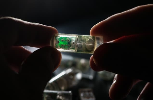 Ingestible sensor Ingestible sensor