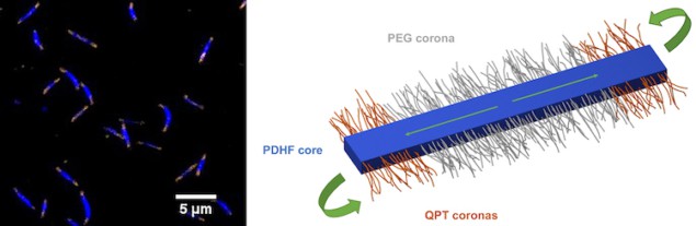 The segmented nanofibre structure