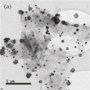 Gold nanoparticles grown in situ on graphene flakes