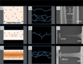 Random, directed nucleation and regular crosslinking processes