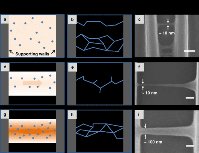 Random, directed nucleation and regular crosslinking processes