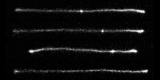 DNA knots