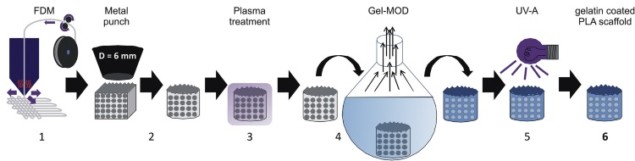 Metastasis model fabrication (click to zoom)