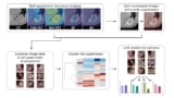 The processing workflow for multi-parametric images