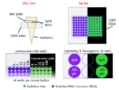 Experimental set-up for in vitro investigation of RECA