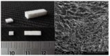 Collagen sponge macrostructure and microstructure