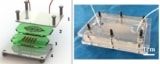 The leaf-templated microfluidic chip