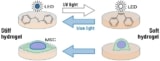 Schematic of hydrogel system