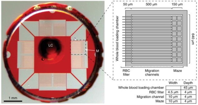Photo and schematic of the microfluidic device Photo and schematic of the microfluidic device