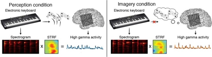 Decoding the brain activity of an imagined song – Physics World