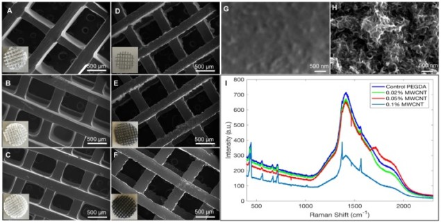 Scaffold characterization using SEM and Raman
