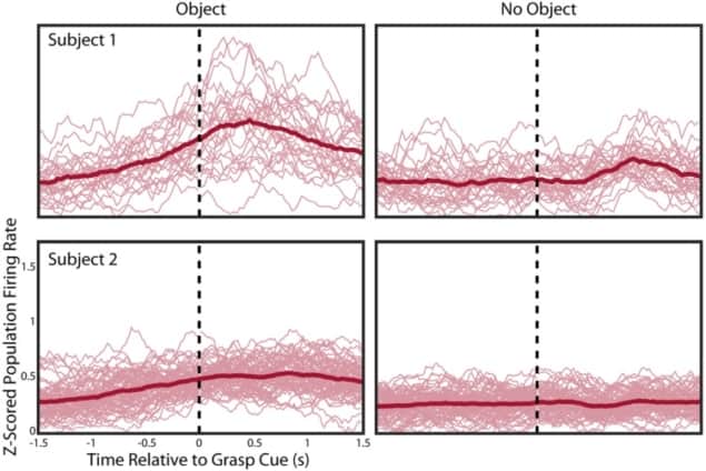 Neural population firing rates