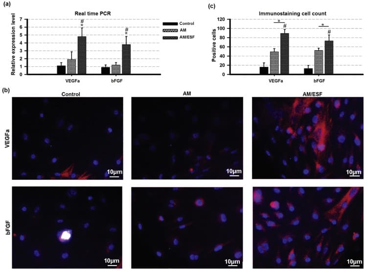 CBD-SDF-1α scaffold triggers cell migration