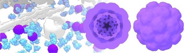 CryoEM