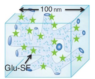 Silicone hydrogel