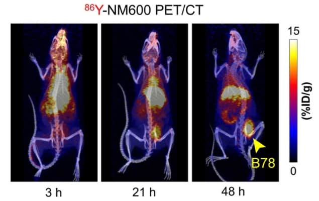 Enhancing immunotherapy