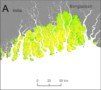 30 m-resolution map for mangrove soil carbon stocks for the top metre of soil in the Sundarbans along the India/Bangladesh border. Courtesy: Jonathan Sanderman et al 2018 Environ. Res. Lett. 13 055002.