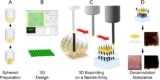 3D bioprinting of a biomaterial-free patch.