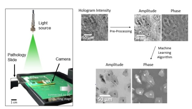 Imaging set-up