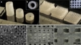 The bioink plots clinically relevant scaffolds with high accuracy