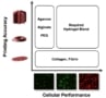 Hydrogel blending may overcome 3D printing limitations