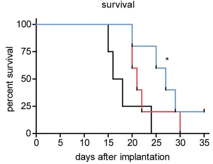 Survival of mice with implanted tumours