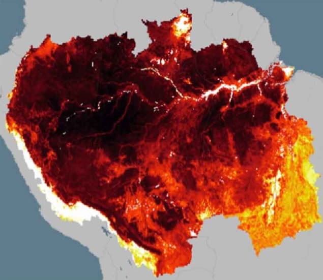 Graphic showing vegetation and soil carbon emissions in the Amazon. Source: ERL.