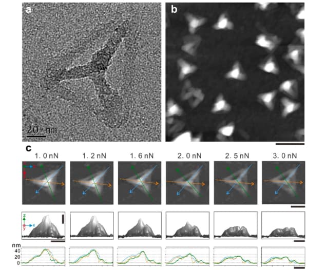 DNA-silica hybrid materials