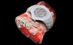 3D MARS scan