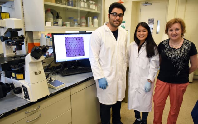 In the lab Professor Eugenia Kumacheva and colleagues
