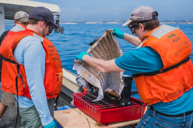 Photo showing open-water tests of the Oleo Sponge