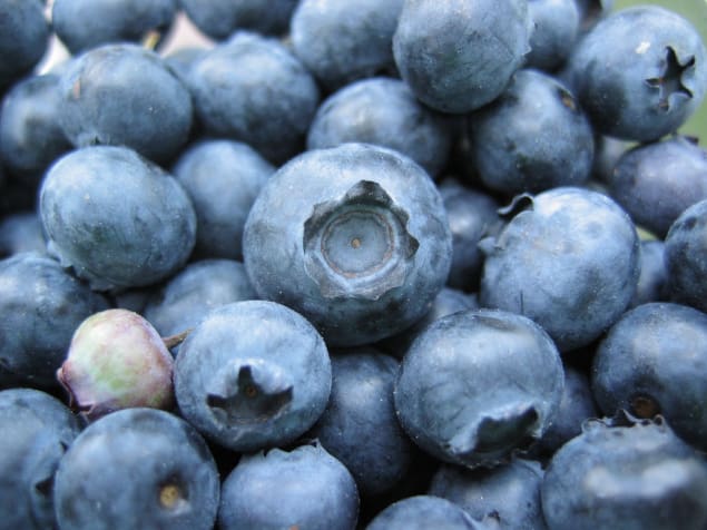 Image of a bunch of blueberries