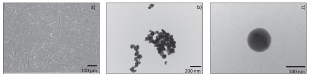 Nanoparticles