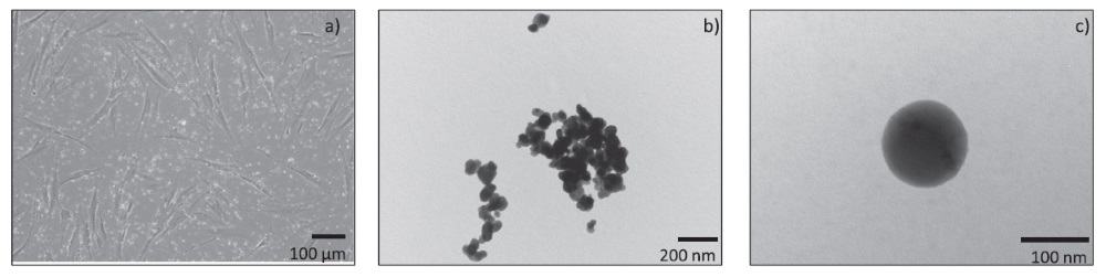 Nanoparticles