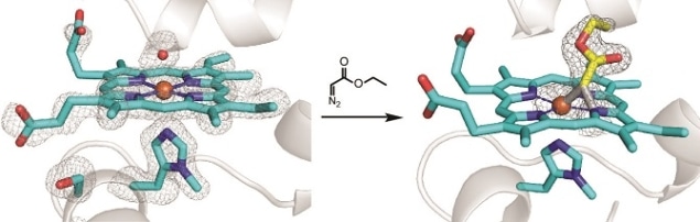 The structure of the metalloenzyme reveals itself