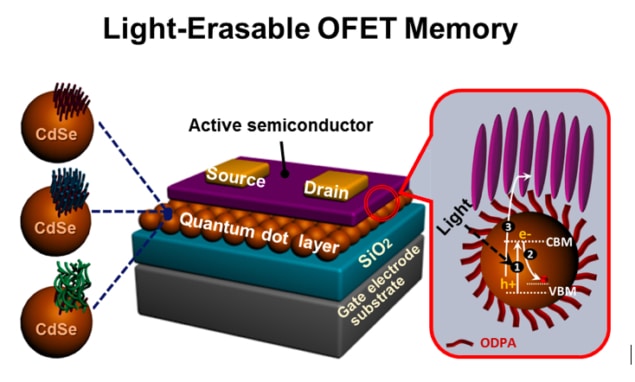 Light-erasable OFET memory