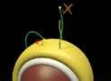 Sensing miRNA