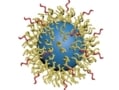 Hierarchical polyethylene glycol (PEG) structure on a nanoparticle surface for drug delivery. Courtesy ACS Nano