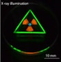 Multicolor emission obtained by varying the composition, and therefore the bandgap, of inorganic perovskite nanocrystals. Courtesy Nature.