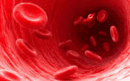 Red blood cells